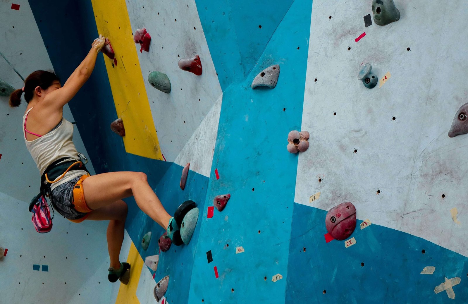 Construcción de muros de escalada y palestras profesionales